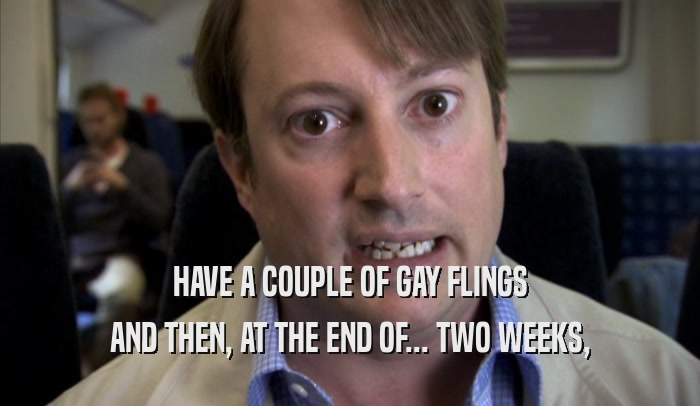 HAVE A COUPLE OF GAY FLINGS AND THEN, AT THE END OF... TWO WEEKS, 