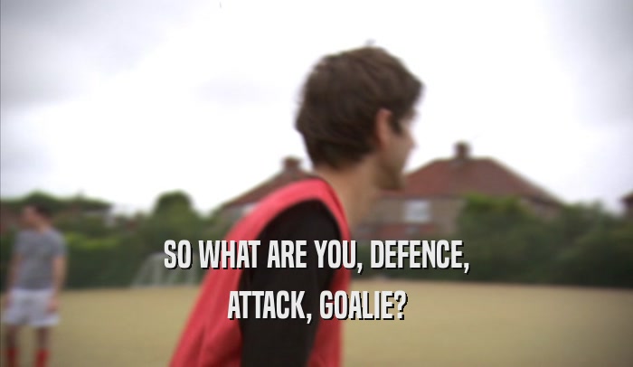 SO WHAT ARE YOU, DEFENCE, ATTACK, GOALIE? 