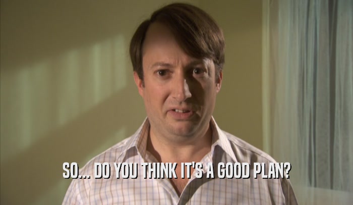 SO... DO YOU THINK IT'S A GOOD PLAN?  