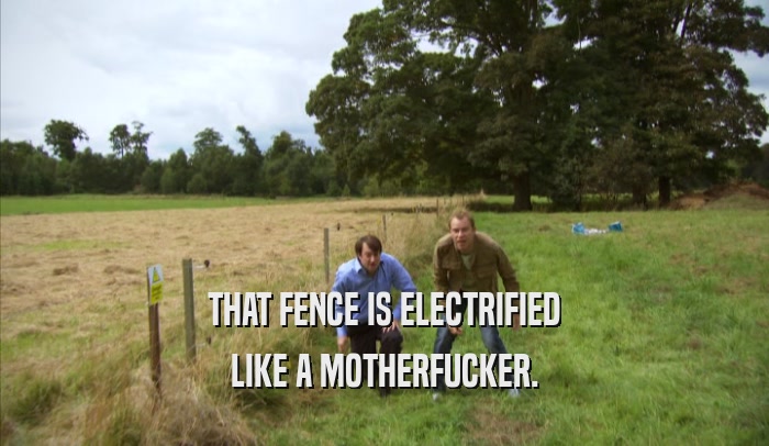 THAT FENCE IS ELECTRIFIED LIKE A MOTHERFUCKER. 