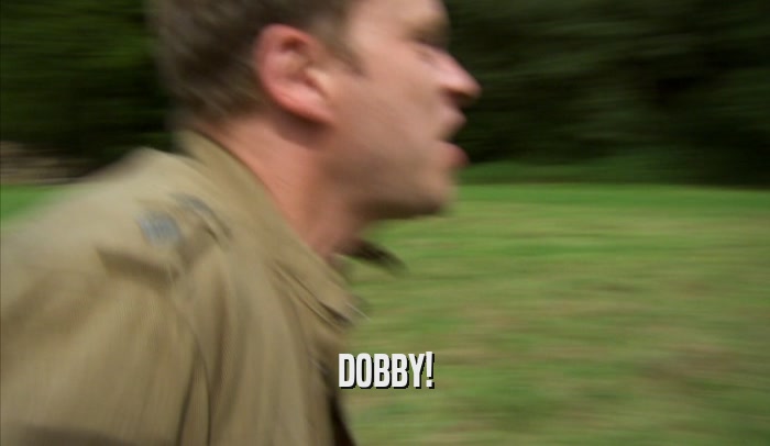 DOBBY!  