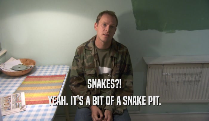 SNAKES?! YEAH. IT'S A BIT OF A SNAKE PIT. 