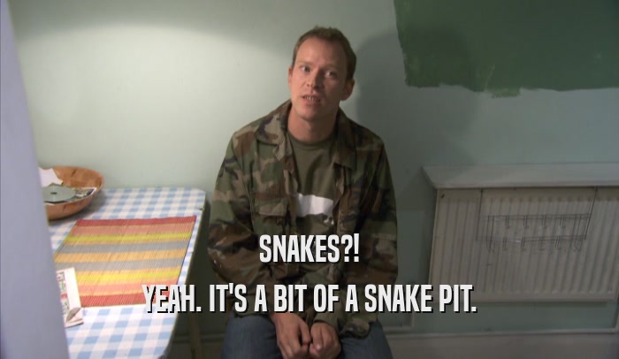 SNAKES?! YEAH. IT'S A BIT OF A SNAKE PIT. 