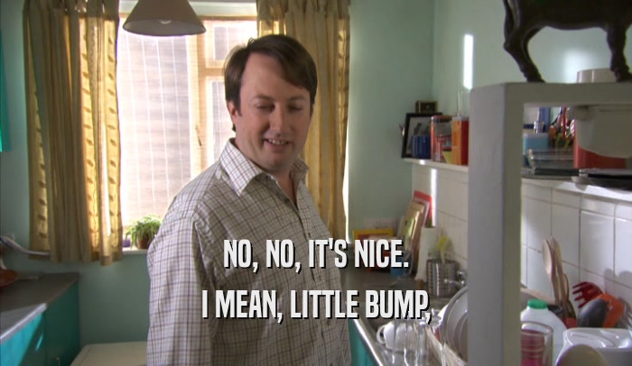 NO, NO, IT'S NICE. I MEAN, LITTLE BUMP, 