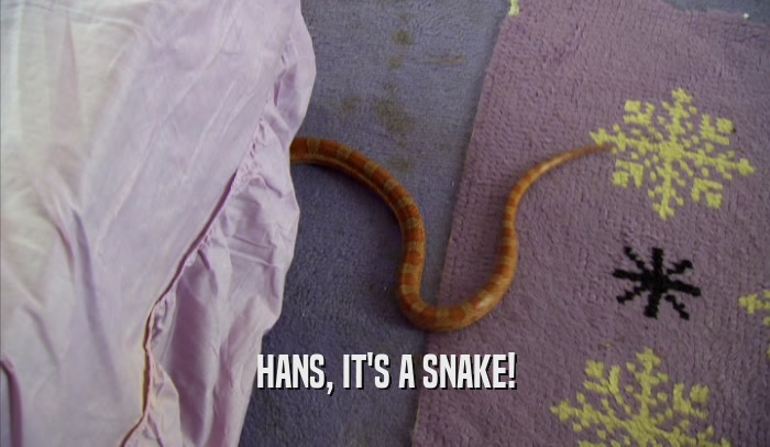 HANS, IT'S A SNAKE!
  
