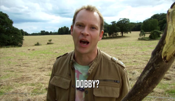 DOBBY?  