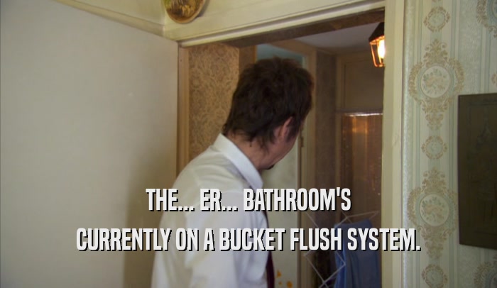 THE... ER... BATHROOM'S CURRENTLY ON A BUCKET FLUSH SYSTEM. 