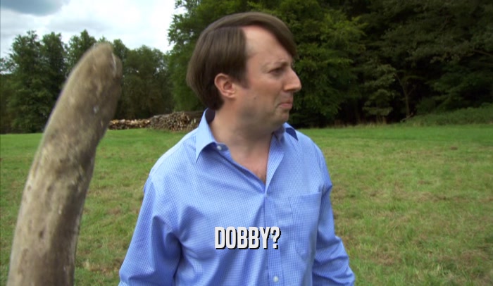 DOBBY?  