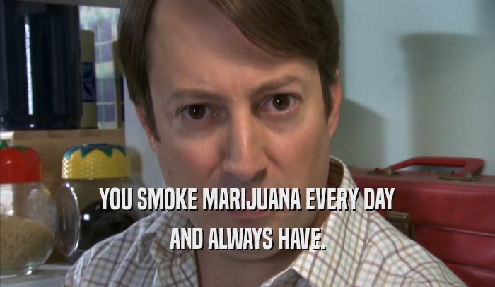 YOU SMOKE MARIJUANA EVERY DAY AND ALWAYS HAVE. 