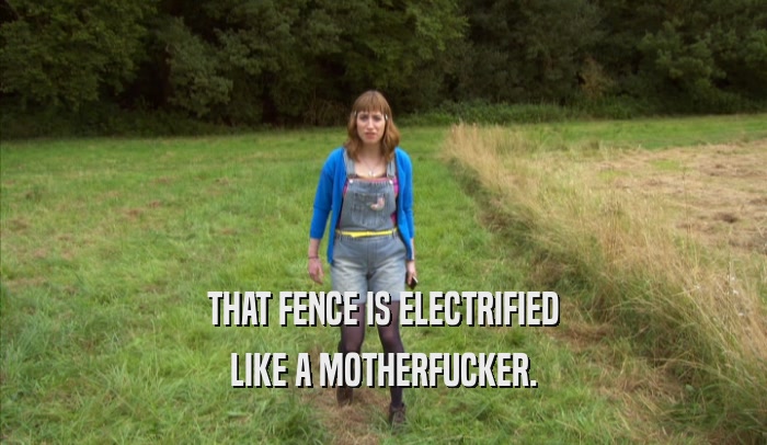 THAT FENCE IS ELECTRIFIED LIKE A MOTHERFUCKER. 