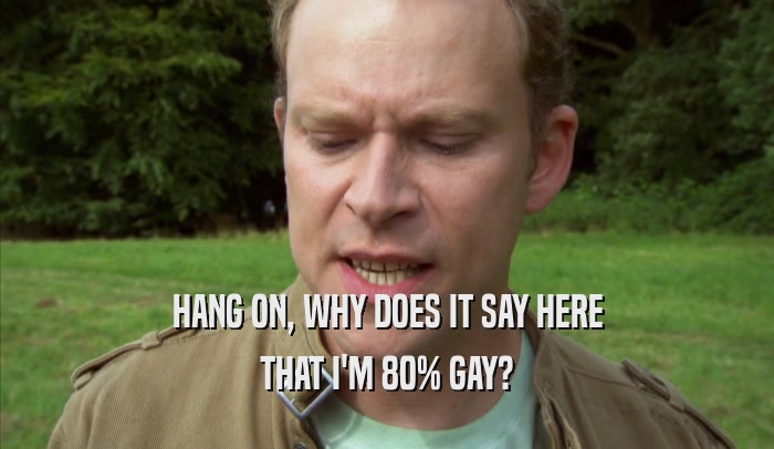 HANG ON, WHY DOES IT SAY HERE THAT I'M 80% GAY? 