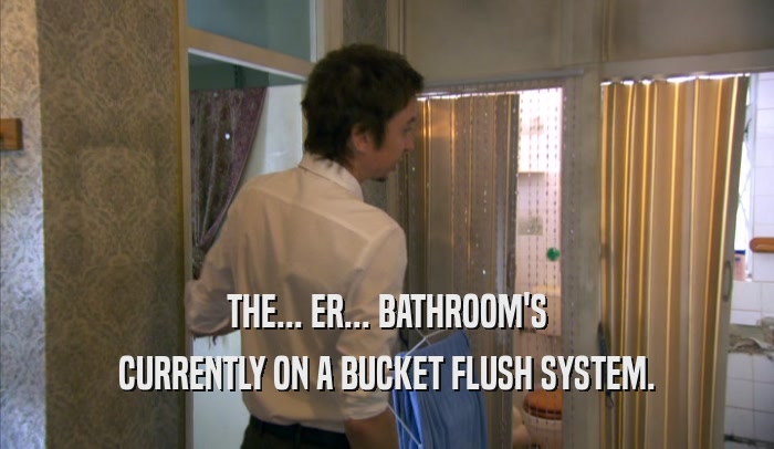 THE... ER... BATHROOM'S CURRENTLY ON A BUCKET FLUSH SYSTEM. 
