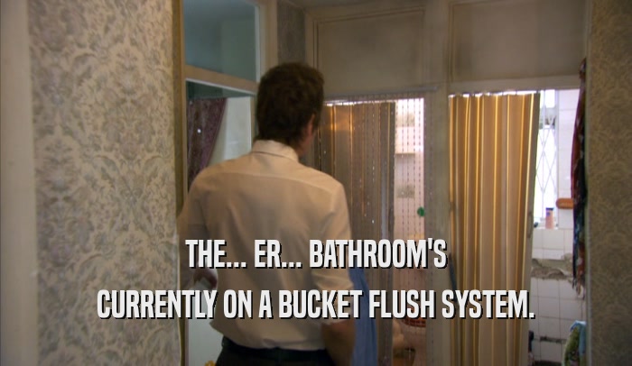 THE... ER... BATHROOM'S CURRENTLY ON A BUCKET FLUSH SYSTEM. 