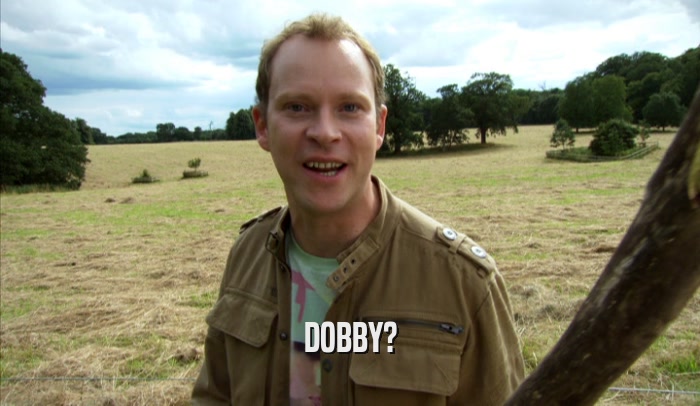 DOBBY?  