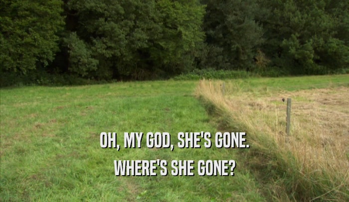 OH, MY GOD, SHE'S GONE. WHERE'S SHE GONE? 