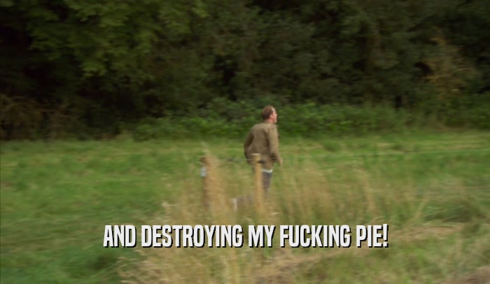 AND DESTROYING MY FUCKING PIE!  