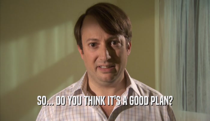 SO... DO YOU THINK IT'S A GOOD PLAN?  
