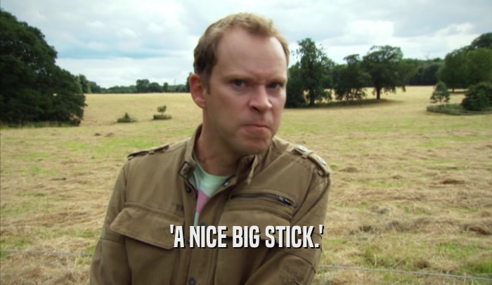 'A NICE BIG STICK.'  