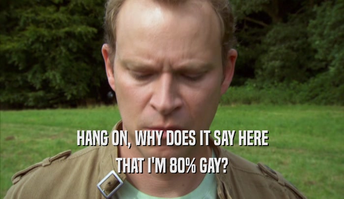 HANG ON, WHY DOES IT SAY HERE THAT I'M 80% GAY? 