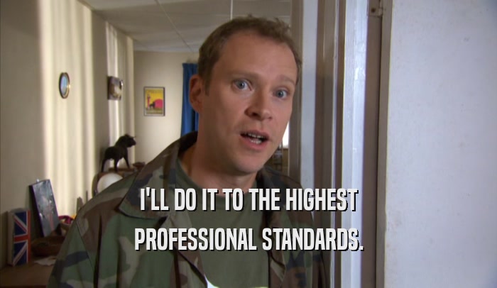 I'LL DO IT TO THE HIGHEST PROFESSIONAL STANDARDS. 