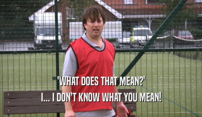 'WHAT DOES THAT MEAN?' I... I DON'T KNOW WHAT YOU MEAN! 