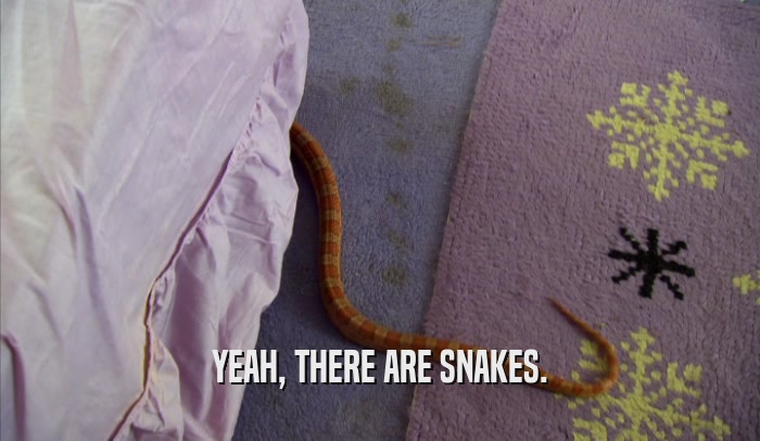 YEAH, THERE ARE SNAKES.  
