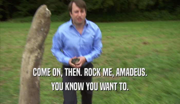 COME ON, THEN. ROCK ME, AMADEUS. YOU KNOW YOU WANT TO. 