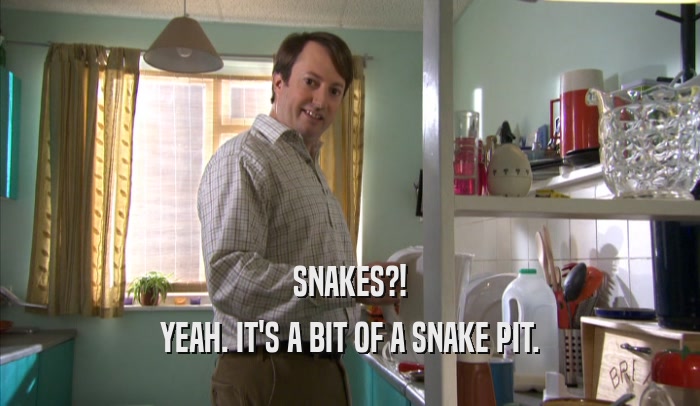 SNAKES?! YEAH. IT'S A BIT OF A SNAKE PIT. 