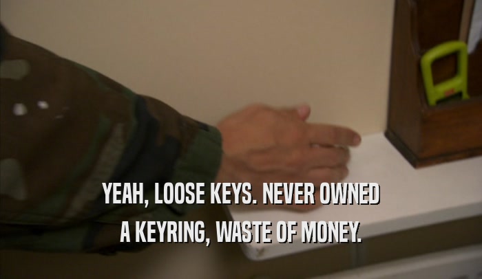 YEAH, LOOSE KEYS. NEVER OWNED A KEYRING, WASTE OF MONEY. 