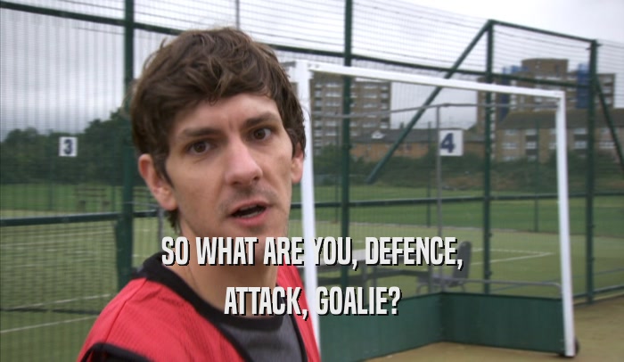 SO WHAT ARE YOU, DEFENCE, ATTACK, GOALIE? 