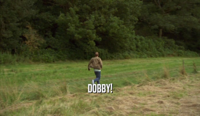 DOBBY!  