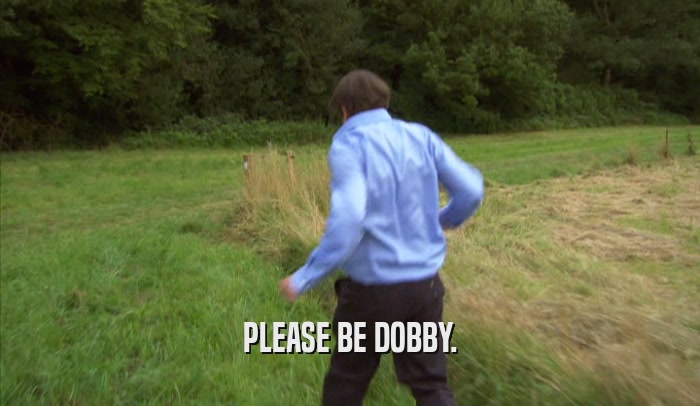 PLEASE BE DOBBY.  
