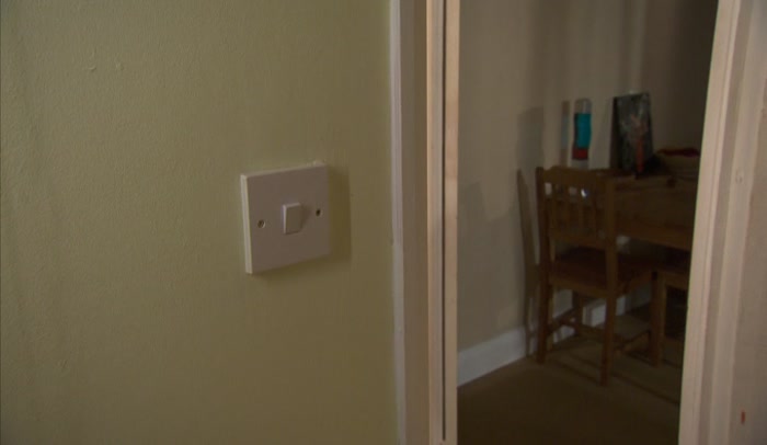 HAVE YOU CLEANED THE PAINT OFF THAT LIGHT SWITCH? 