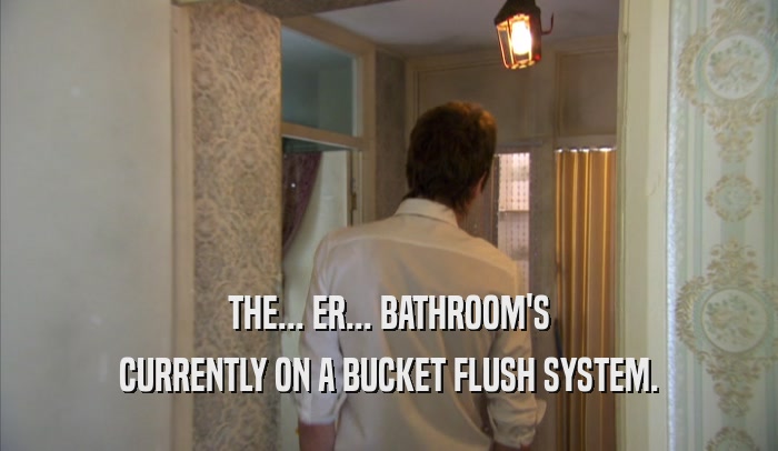 THE... ER... BATHROOM'S CURRENTLY ON A BUCKET FLUSH SYSTEM. 