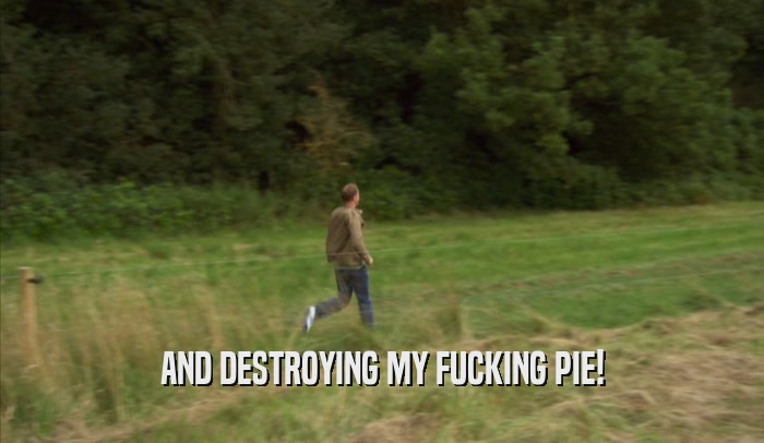 AND DESTROYING MY FUCKING PIE!  