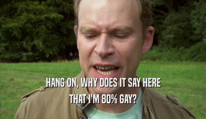 HANG ON, WHY DOES IT SAY HERE THAT I'M 80% GAY? 