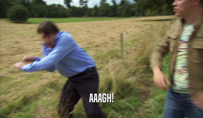 AAAGH!  