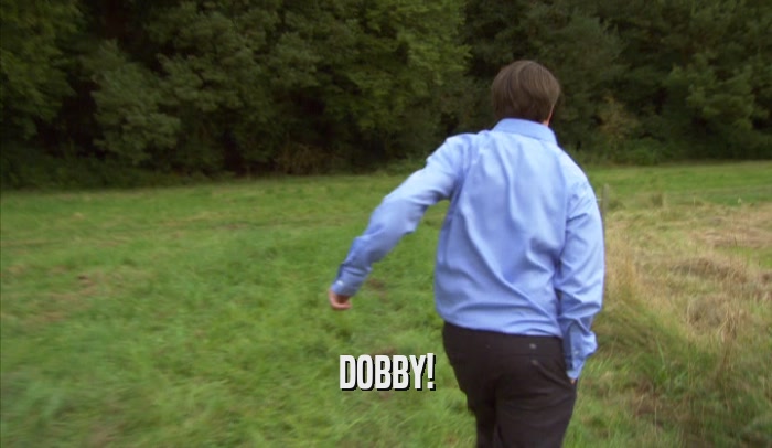 DOBBY!  