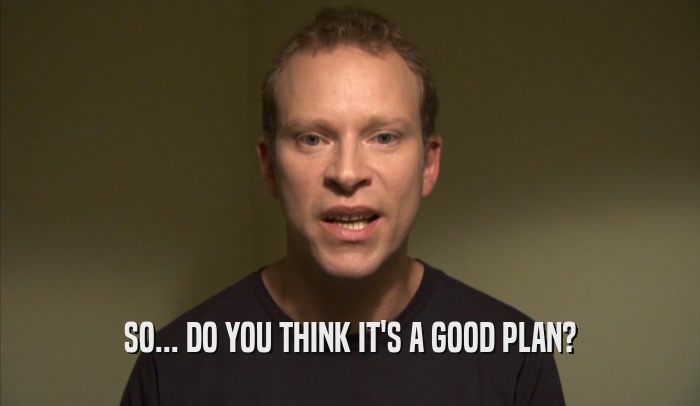 SO... DO YOU THINK IT'S A GOOD PLAN?  