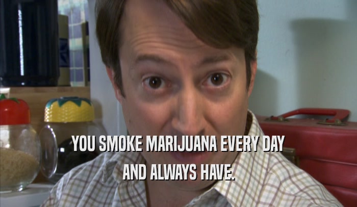YOU SMOKE MARIJUANA EVERY DAY AND ALWAYS HAVE. 