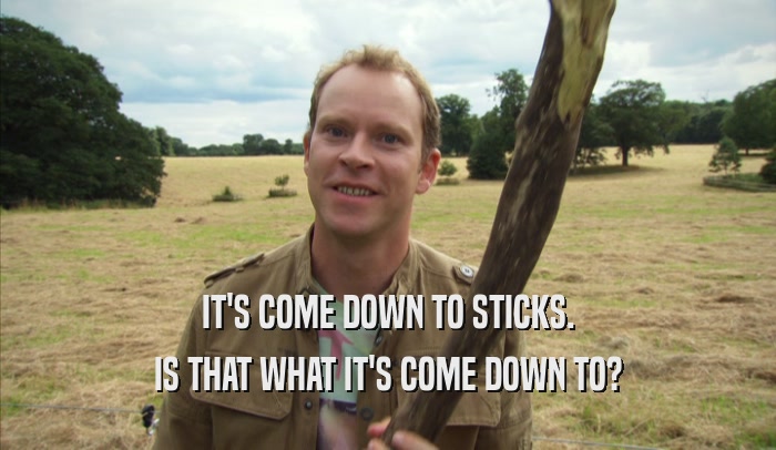 IT'S COME DOWN TO STICKS. IS THAT WHAT IT'S COME DOWN TO? 