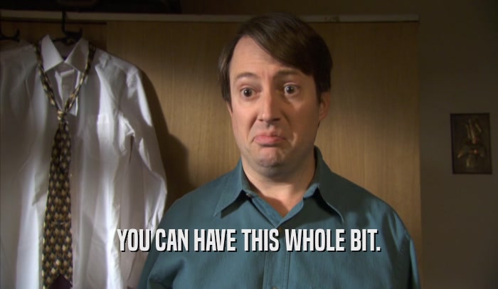 YOU CAN HAVE THIS WHOLE BIT.  