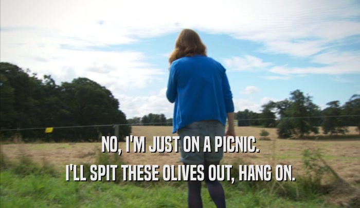 NO, I'M JUST ON A PICNIC. I'LL SPIT THESE OLIVES OUT, HANG ON. 
