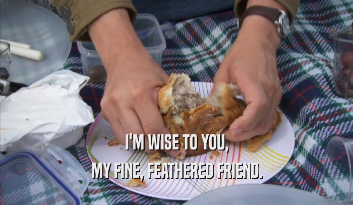 I'M WISE TO YOU, MY FINE, FEATHERED FRIEND. 