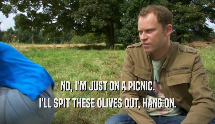 NO, I'M JUST ON A PICNIC. I'LL SPIT THESE OLIVES OUT, HANG ON. 