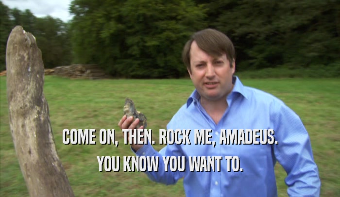 COME ON, THEN. ROCK ME, AMADEUS. YOU KNOW YOU WANT TO. 