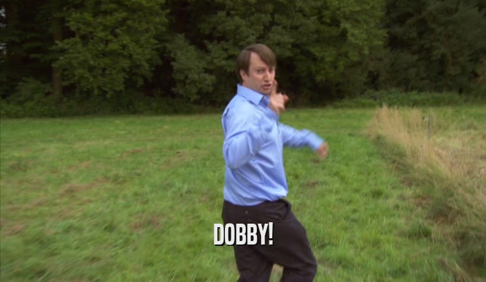 DOBBY!  