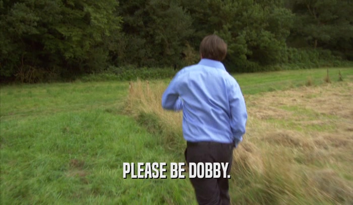PLEASE BE DOBBY.  