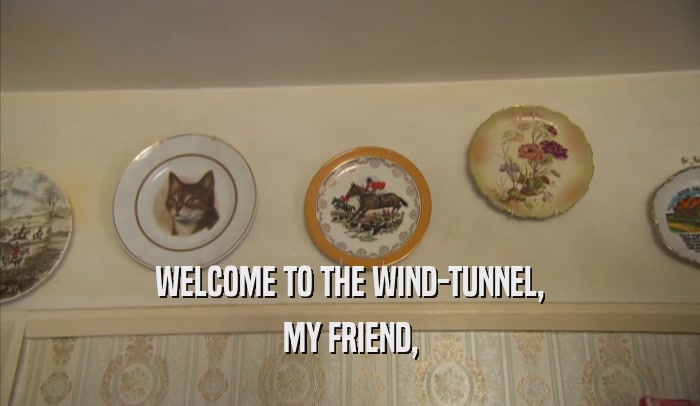 WELCOME TO THE WIND-TUNNEL, MY FRIEND, 