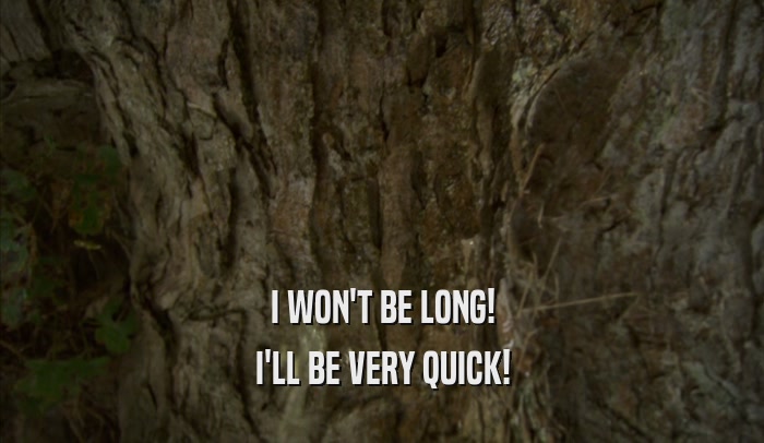 I WON'T BE LONG! I'LL BE VERY QUICK! 